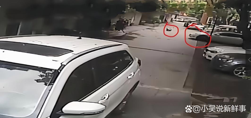 小车遭夹击2人身亡,小车遭夹击2人身亡怎么赔偿