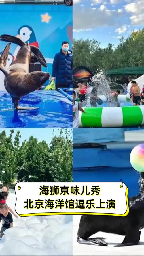 海洋馆员工脚踢海狮,海洋馆员工脚踢海狮视频