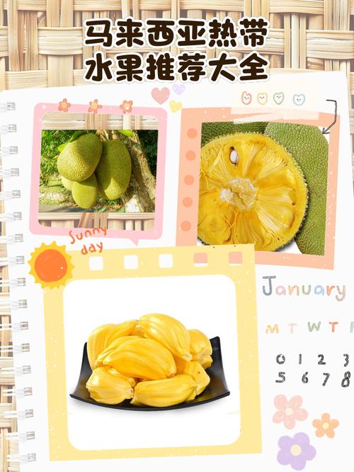 进口水果价格跳水,进口水果的价格